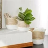 Brand new 🎉 Contemporary Dried Plant Storage Basket - Set of 3 by Monroe Lane ✨