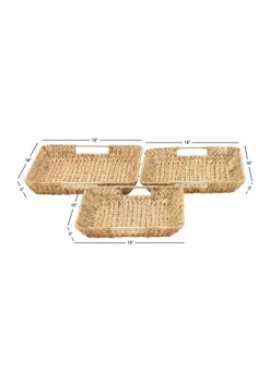 Coupon 💯 Contemporary Dried Plant Tray - Set of 3 by Monroe Lane 🧨 -Monroe Lane Sales Belk 11274