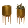 Best reviews of 🧨 Contemporary Metal Planter - Set of 2 by Monroe Lane 👏