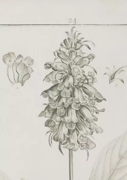 Wholesale 🔥 Vintage Wood Framed Wall Art - Set of 2 by Monroe Lane 🎁 -Monroe Lane Sales Belk 12412