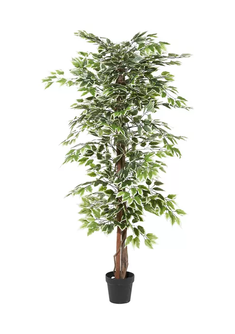 Coupon ✔️ Traditional Plastic Artificial Tree by Monroe Lane ⭐ 1 Coupon ✔️ Traditional Plastic Artificial Tree by Monroe Lane ⭐