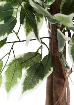 Coupon ✔️ Traditional Plastic Artificial Tree by Monroe Lane ⭐ 8 Coupon ✔️ Traditional Plastic Artificial Tree by Monroe Lane ⭐ -Monroe Lane Sales Belk 16193