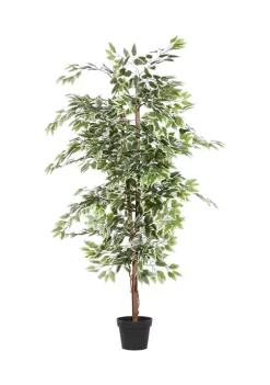 Coupon ✔️ Traditional Plastic Artificial Tree by Monroe Lane ⭐ 10 Coupon ✔️ Traditional Plastic Artificial Tree by Monroe Lane ⭐ -Monroe Lane Sales Belk 16194