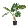 Promo 😍 Traditional Faux Foliage Artificial Plant by Monroe Lane ⭐