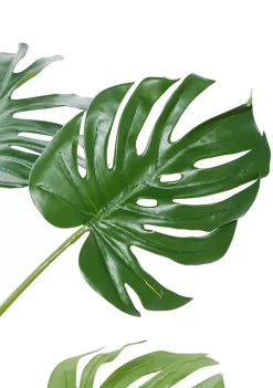 Promo 😍 Traditional Faux Foliage Artificial Plant by Monroe Lane ⭐ -Monroe Lane Sales Belk 16694