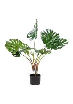 Promo 😍 Traditional Faux Foliage Artificial Plant by Monroe Lane ⭐ -Monroe Lane Sales Belk 16696