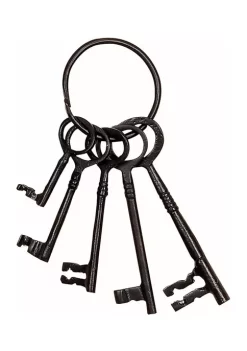 Best deal 🔥 Industrial Aluminum Keys by Monroe Lane 😉 -Monroe Lane Sales Belk 1711