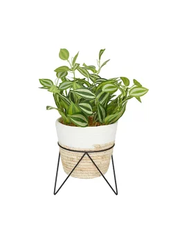 Wholesale 🔥 Coastal Faux Foliage Artificial Plant by Monroe Lane ❤️