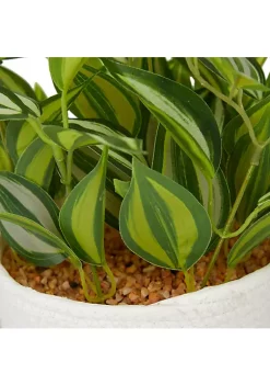 Wholesale 🔥 Coastal Faux Foliage Artificial Plant by Monroe Lane ❤️ -Monroe Lane Sales Belk 18284