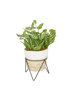 Wholesale 🔥 Coastal Faux Foliage Artificial Plant by Monroe Lane ❤️ -Monroe Lane Sales Belk 18286