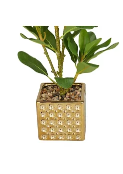 Cheap 🎉 Glam Faux Foliage Artificial Plant by Monroe Lane 🎉 -Monroe Lane Sales Belk 18329