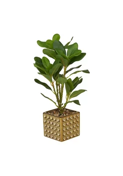 Cheap 🎉 Glam Faux Foliage Artificial Plant by Monroe Lane 🎉 -Monroe Lane Sales Belk 18331
