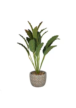 Best reviews of 😍 Bohemian Faux Foliage Artificial Plant by Monroe Lane 🧨 -Monroe Lane Sales Belk 18911