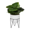 Coupon ✨ Contemporary Faux Foliage Artificial Plant by Monroe Lane ⭐