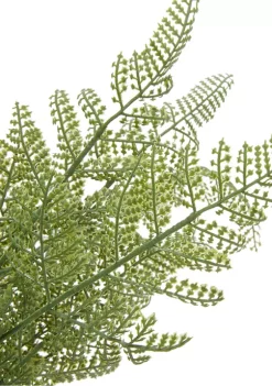 Discount 😉 Traditional Plastic Artificial Plant by Monroe Lane 😉 -Monroe Lane Sales Belk 2125