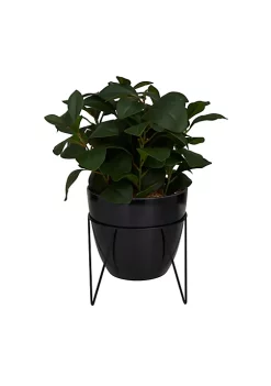 Coupon 🌟 Contemporary Faux Foliage Artificial Plant by Monroe Lane 🤩