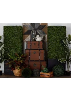 Budget ⭐ Contemporary Faux Foliage Topiary by Monroe Lane ⌛ -Monroe Lane Sales Belk 22072