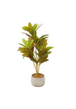 Best Sale 🌟 Bohemian Faux Foliage Artificial Plant by Monroe Lane 🎁 -Monroe Lane Sales Belk 22316