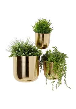 Brand new π Contemporary Metal Planter - Set of 3 by Monroe Lane π₯ 10 Brand new π Contemporary Metal Planter - Set of 3 by Monroe Lane π₯ -Monroe Lane Sales Belk 22648