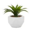 Buy ⌛ Contemporary Faux Foliage Artificial Plant by Monroe Lane ⌛