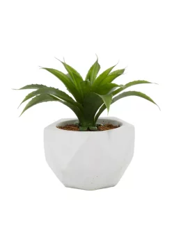 Buy ⌛ Contemporary Faux Foliage Artificial Plant by Monroe Lane ⌛ -Monroe Lane Sales Belk 22671