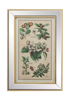 Promo 💯 19.5 in x 28.5 in Large Vintage Style Plant Illustrations Textile in Mirror and Gold Rectangular Frame by Monroe Lane 🔥 -Monroe Lane Sales Belk 23868