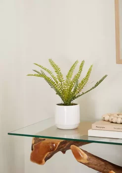 New ✨ Contemporary Ceramic Artificial Plant by Monroe Lane 🥰 -Monroe Lane Sales Belk 25461