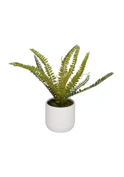 New ✨ Contemporary Ceramic Artificial Plant by Monroe Lane 🥰 -Monroe Lane Sales Belk 25464