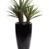 Best reviews of 😉 Contemporary Faux Foliage Artificial Plant by Monroe Lane 🥰