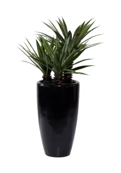 Best reviews of 😉 Contemporary Faux Foliage Artificial Plant by Monroe Lane 🥰 -Monroe Lane Sales Belk 25483