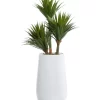 Flash Sale 🥰 Contemporary Faux Foliage Artificial Plant by Monroe Lane ❤️