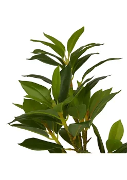 Cheap 🎁 Coastal Faux Foliage Artificial Plant by Monroe Lane 🌟 -Monroe Lane Sales Belk 2676
