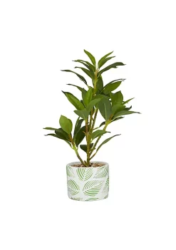 Cheap 🎁 Coastal Faux Foliage Artificial Plant by Monroe Lane 🌟 -Monroe Lane Sales Belk 2678