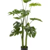 Deals 🤩 Traditional Faux Foliage Artificial Plant by Monroe Lane 👍