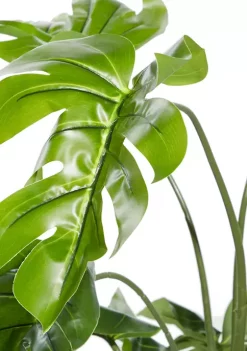 Deals 🤩 Traditional Faux Foliage Artificial Plant by Monroe Lane 👍 -Monroe Lane Sales Belk 2740