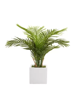 Best Pirce โ Contemporary Faux Foliage Artificial Plant by Monroe Lane โ๏ธ