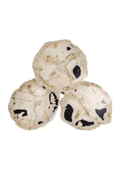 New 😍 Contemporary Petrified Stone Accent Table by Monroe Lane 🤩 -Monroe Lane Sales Belk 28441