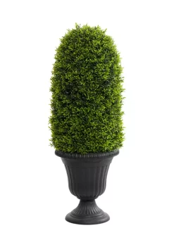 Discount 🔔 Traditional Plastic Topiary by Monroe Lane ⭐ -Monroe Lane Sales Belk 28723