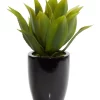 Best deal 😀 Contemporary Faux Foliage Artificial Plant by Monroe Lane 🥰