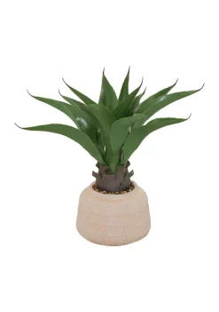 Top 10 🔥 Modern Plastic Artificial Plant by Monroe Lane 🔔 -Monroe Lane Sales Belk 28828