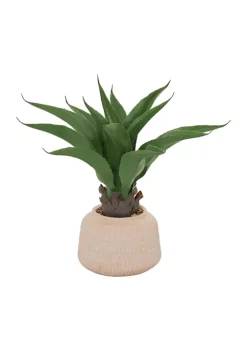 Top 10 🔥 Modern Plastic Artificial Plant by Monroe Lane 🔔 -Monroe Lane Sales Belk 28829