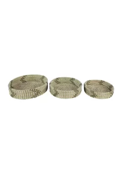 Best reviews of 💯 Coastal Dried Plant Tray - Set of 3 by Monroe Lane 😉 -Monroe Lane Sales Belk 29254