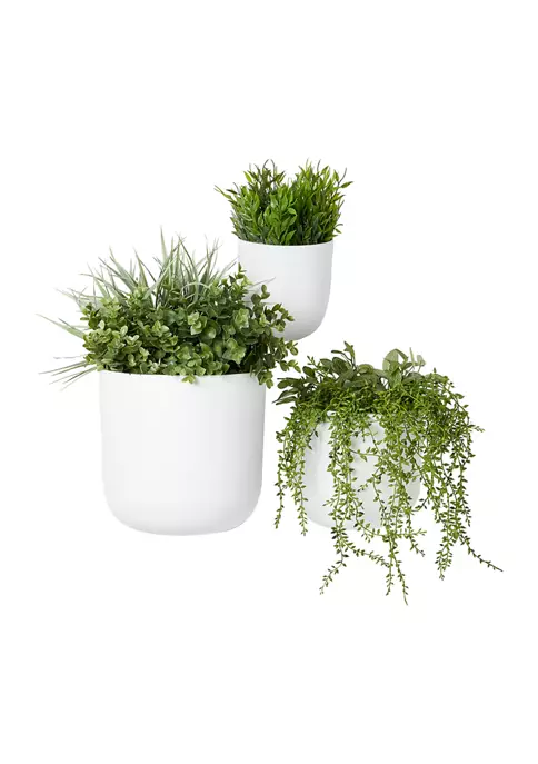 Best deal ๐งจ Contemporary Metal Planter - Set of 3 by Monroe Lane ๐ฏ 5 Best deal ๐งจ Contemporary Metal Planter - Set of 3 by Monroe Lane ๐ฏ - Image 5