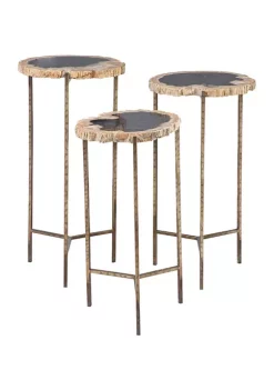 Budget βοΈ Contemporary Petrified Stone Accent Table - Set of 3 by Monroe Lane π₯°