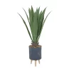 Cheapest ⌛ Modern Faux Foliage Artificial Plant by Monroe Lane 🤩
