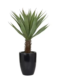 Best deal 😍 Contemporary Fiberglass Artificial Plant by Monroe Lane 🎉 -Monroe Lane Sales Belk 30168
