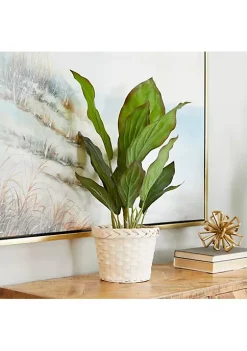 Monroe Lane Sales -Monroe Lane Sales Belk 32153