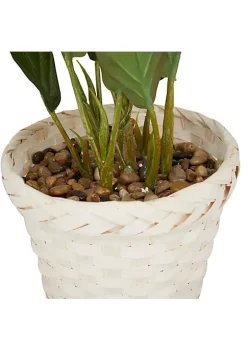 Coupon 🥰 Coastal Faux Foliage Artificial Plant by Monroe Lane 👏 -Monroe Lane Sales Belk 32154