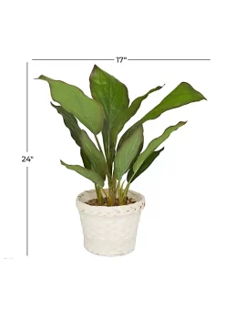 Coupon 🥰 Coastal Faux Foliage Artificial Plant by Monroe Lane 👏 -Monroe Lane Sales Belk 32155