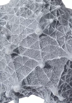 Cheapest ✔️ Coastal Polystone Wall Decor by Monroe Lane 👏 -Monroe Lane Sales Belk 32566